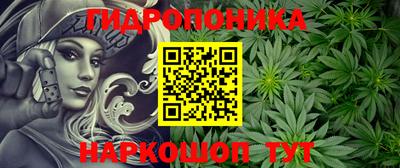 СК Краснодар