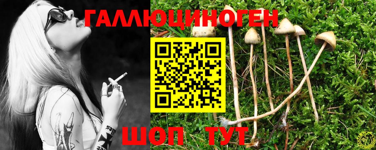 Когалым  Галлюциногенные грибы мицелий  Вход с VPN 